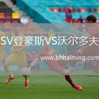 SV登豪斯VS沃爾多夫