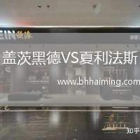 蓋茨黑德VS夏利法斯