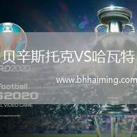 貝辛斯托克VS哈瓦特