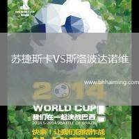 蘇捷斯卡VS斯洛波達(dá)諾維