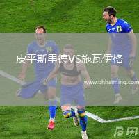 皮平斯里德VS施瓦伊格