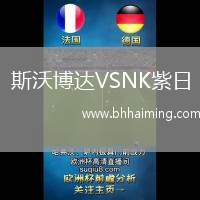 斯沃博達VSNK紫日