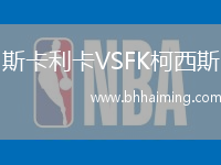 斯卡利卡VSFK柯西斯