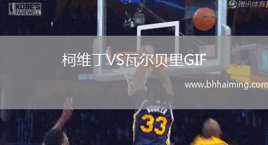 柯維丁VS瓦爾貝里GIF