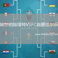 哈爾伯施塔特VSFC施滕達(dá)爾樂(lè)