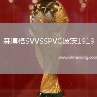 森博格SVVSSPVG波茨1919
