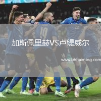 加斯佩里赫VS盧緹威爾