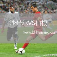 沙希爾VS伯根