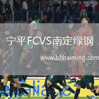 寧平FCVS南定綠鋼