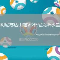 明尼蘇達(dá)山貓VS菲尼克斯水星