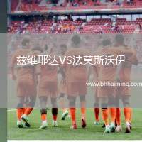 茲維耶達VS法莫斯沃伊