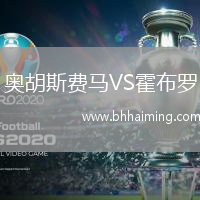 奧胡斯費(fèi)馬VS霍布羅