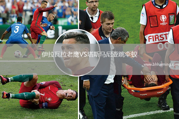 伊拉瓦拉老鷹VS塔斯馬尼亞跳傘蟻