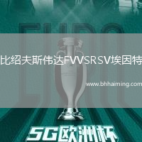 比紹夫斯偉達(dá)FVVSRSV埃因特