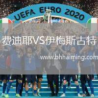 費迪耶VS伊梅斯古特
