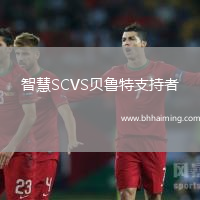 智慧SCVS貝魯特支持者