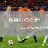 布魯爾VS查姆