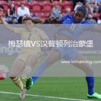 梅瑟鎮(zhèn)VS漢普頓列治蒙堡