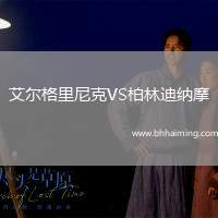 艾爾格里尼克VS柏林迪納摩