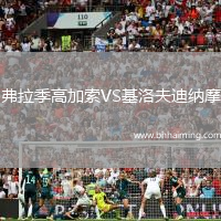 弗拉季高加索VS基洛夫迪納摩