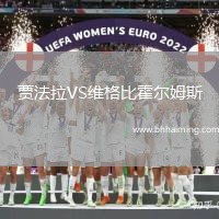 賈法拉VS維格比霍爾姆斯