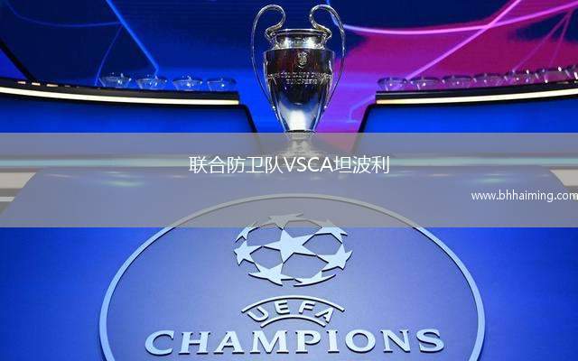 聯(lián)合防衛(wèi)隊VSCA坦波利
