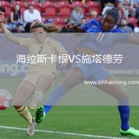 海拉斯卡根VS施塔德勞
