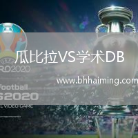 瓜比拉VS學(xué)術(shù)DB