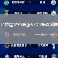 名古屋鉆石海豚VS北海道風(fēng)神