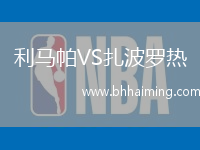 利馬帕VS扎波羅熱