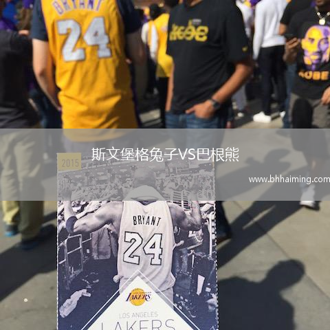 斯文堡格兔子VS巴根熊