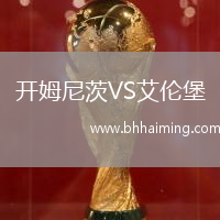 開姆尼茨VS艾倫堡