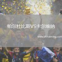 帕爾杜比斯VS卡爾維納