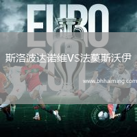 斯洛波達(dá)諾維VS法莫斯沃伊