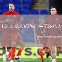 卡迪夫龍人VS施白蘭凱爾特人