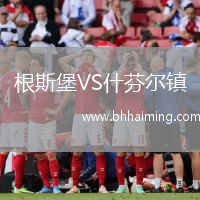 根斯堡VS什芬爾鎮(zhèn)