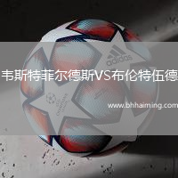 韋斯特菲爾德斯VS布倫特伍德