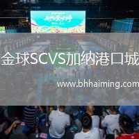 金球SCVS加納港口城
