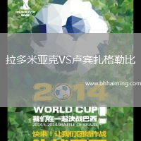 拉多米亞克VS盧賓扎格勒比
