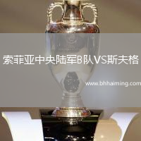 索菲亞中央陸軍B隊(duì)VS斯夫格