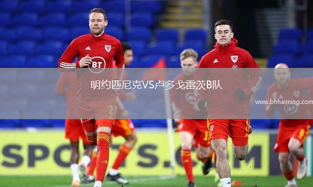 明約匹尼克VS盧多戈雷茨B隊(duì)