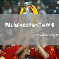 斯圖加特踢球者VS費堡格