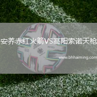 安養(yǎng)赤紅火箭VS高陽索諾天槍