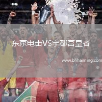 東京電擊VS宇都宮皇者