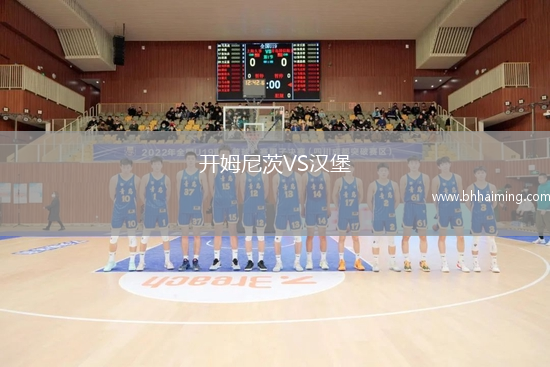 開姆尼茨VS漢堡