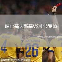哈爾基夫斯基VS扎波羅熱