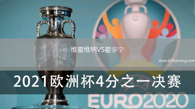 維霍維納VS霍多寧