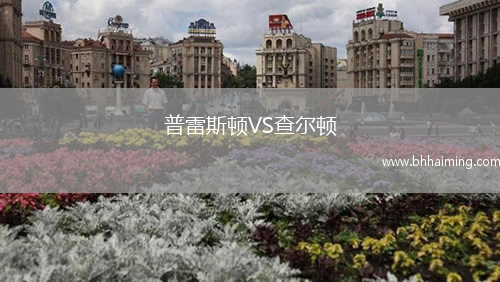 普雷斯頓VS查爾頓