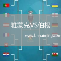 雅蒙克VS伯根