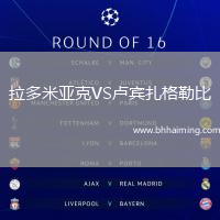 拉多米亞克VS盧賓扎格勒比